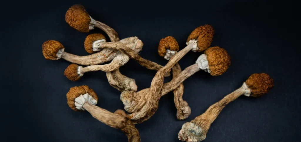 Can You Smoke Shrooms